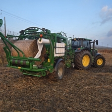 민·관·군 협력으로 김포 한우농가 도움 손길...한강하구 자생 갈대 수거 사료화 사업 4년 만에 재개