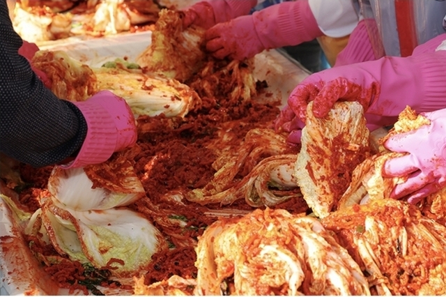김치 세계규격에 '김치 캐비지' 추가…종주국 위상 높인다