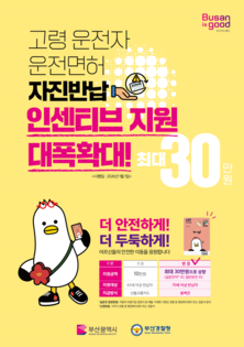 부산시, 고령자와 사업용차량 교통안전 강화한다! "맞춤형 안전대책" 추진