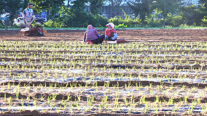 2030년까지 농업 공공 인력공급 60로 확대…인력난 해소 본격화