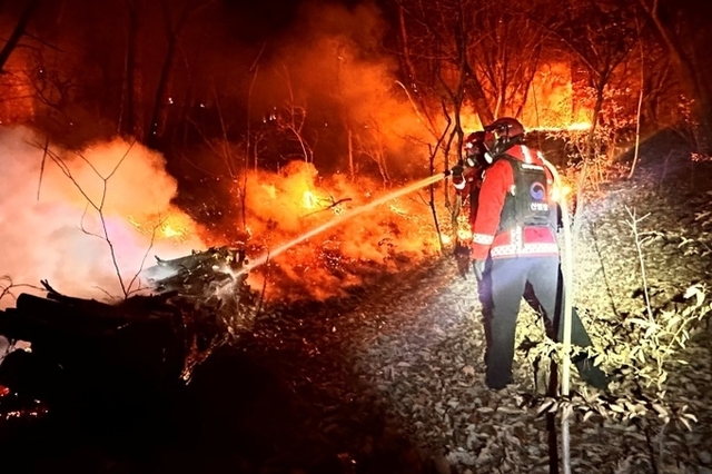 '대형산불 특별대책기간' 본격 가동…범정부 대응체계 강화