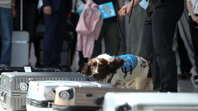이달 16일부터 범정부 마약류 합동 특별단속…무관용 강력 대응