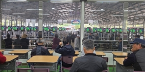 영천 전자경매 가축시장서 염소 경매 첫 시행