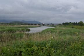 그림입니다.

원본 그림의 이름: CLP000047840007.bmp

원본 그림의 크기: 가로 640pixel, 세로 426pixel