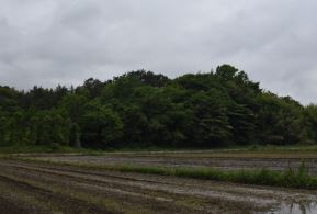 그림입니다.

원본 그림의 이름: CLP000047840008.bmp

원본 그림의 크기: 가로 640pixel, 세로 426pixel