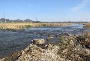 그림입니다.

원본 그림의 이름: 고성천(ST1) 210317 IMG_8669-축소.jpg

원본 그림의 크기: 가로 567pixel, 세로 425pixel

사진 찍은 날짜: 2021년 04월 07일 오후 3:35

카메라 제조 업체 : Canon

카메라 모델 : Canon PowerShot SX60 HS

프로그램 이름 : Adobe Photoshop CS3 Windows

F-스톱 : 4.0

노출 시간 : 1/800초

IOS 감도 : 100

색 대