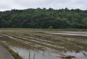 그림입니다.

원본 그림의 이름: CLP00004784000c.bmp

원본 그림의 크기: 가로 640pixel, 세로 426pixel