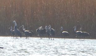 그림입니다.

원본 그림의 이름: CLP00007dd80001.bmp

원본 그림의 크기: 가로 933pixel, 세로 473pixel