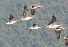 그림입니다.

원본 그림의 이름: CLP00007dd80002.bmp

원본 그림의 크기: 가로 1040pixel, 세로 723pixel